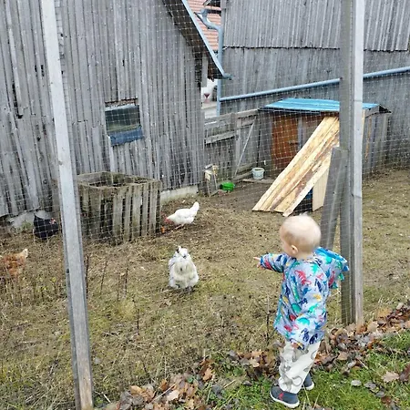 Apartment Bonnleiten Familie Stoeger Stossing
