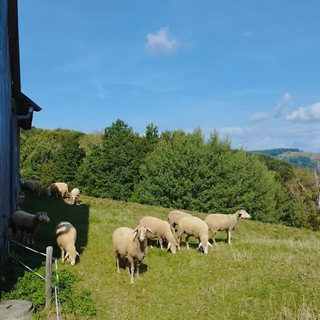 Bonnleiten Familie Stoeger Apartment