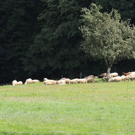 Apartment Bonnleiten Familie Stoeger
