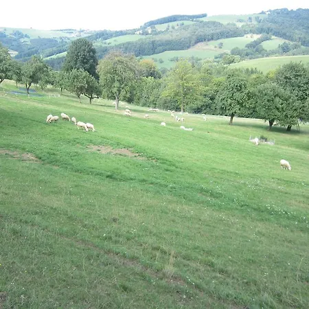 Apartment Bonnleiten Familie Stoeger *