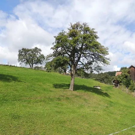 Apartment Bonnleiten Familie Stoeger *