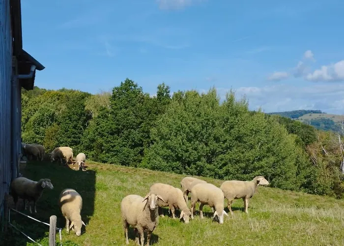 Bonnleiten Familie Stoeger Daire