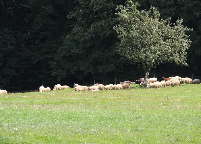 Daire Bonnleiten Familie Stoeger