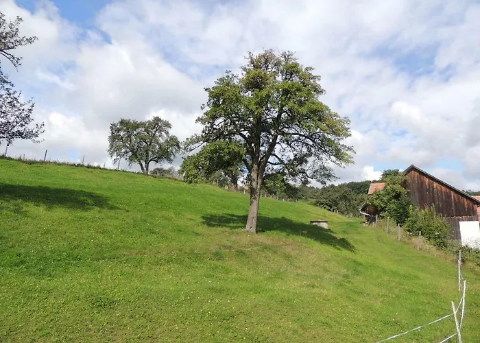 Appartement Bonnleiten Familie Stoeger *