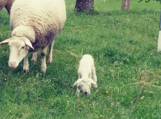 Bonnleiten Familie Stoeger * Stossing